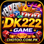 DK 222 Game
