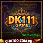 DK111 Game