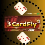 3 Card Fly Game