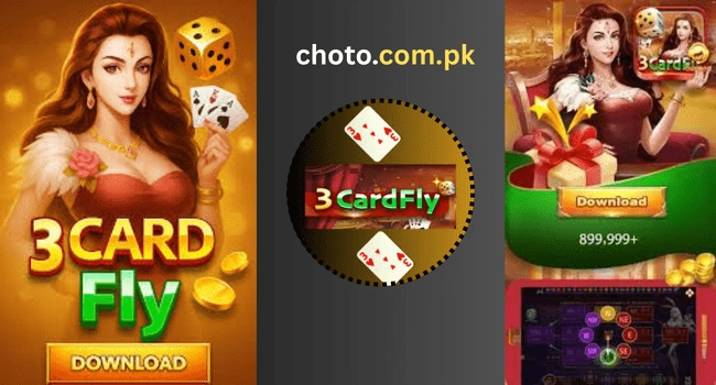 3 Card Fly Game
