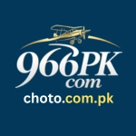 PK966 game