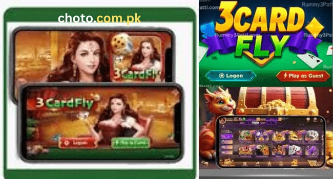 3 Card Fly Game