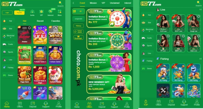 HD77 Game