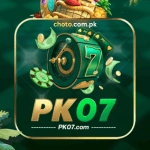 PK07 Game