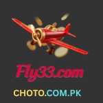 Fly33 Game