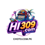 HI 309 Game