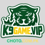 K9 Game