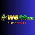 WG 88 Game